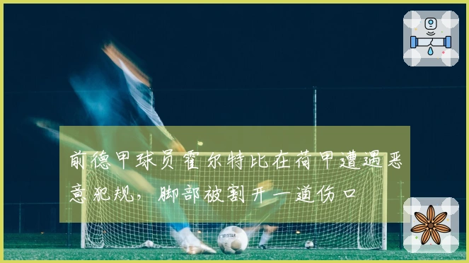前德甲球员霍尔特比在荷甲遭遇恶意犯规，脚部被割开一道伤口